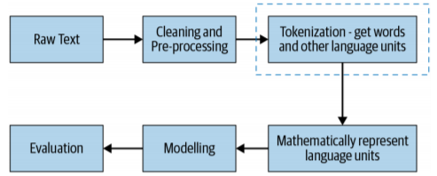 From raw text to a model