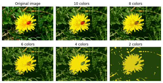 Image segmented by clustering pixel colors