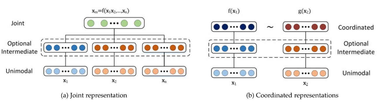 Joint versus coordinated multimodal representations