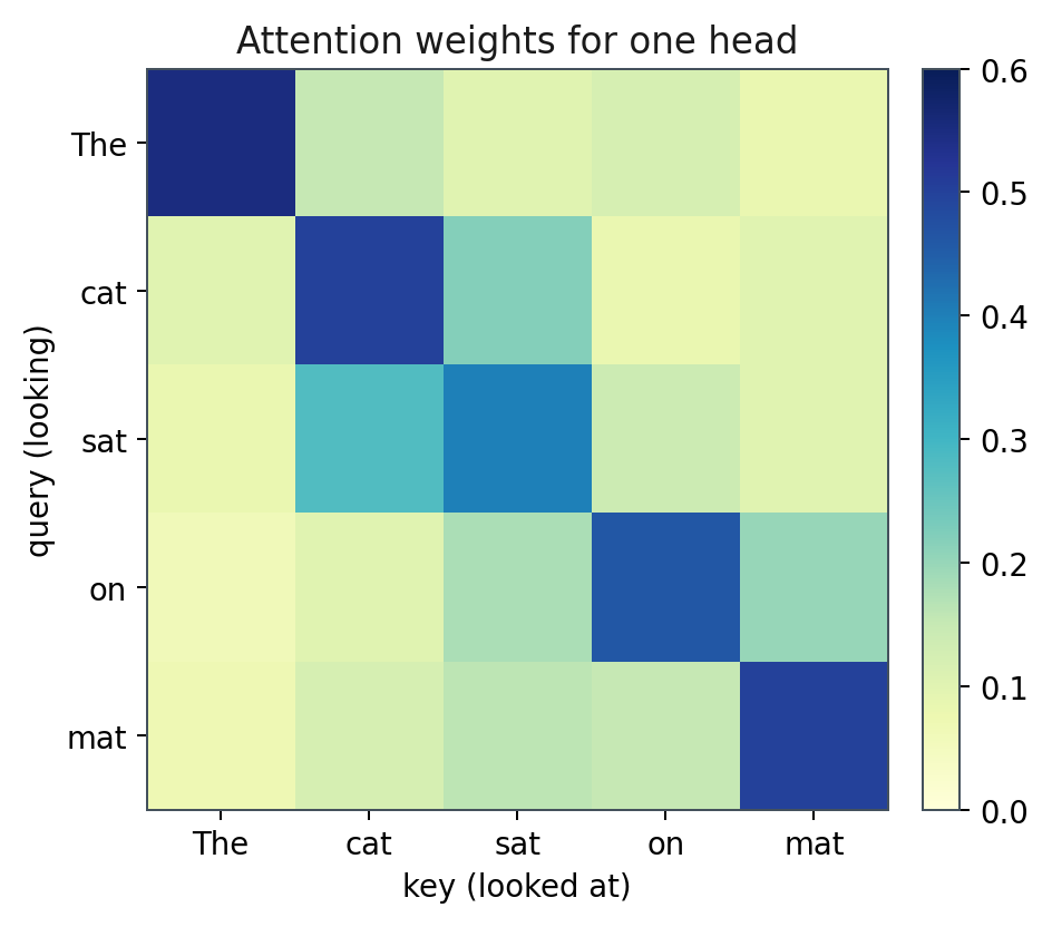 Attention weights for one head